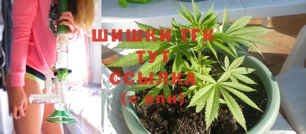 мдпв Пересвет