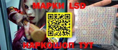 apvp Братск