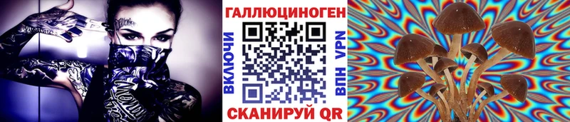 маркетплейс наркотические препараты  Альметьевск  Галлюциногенные грибы Cubensis 