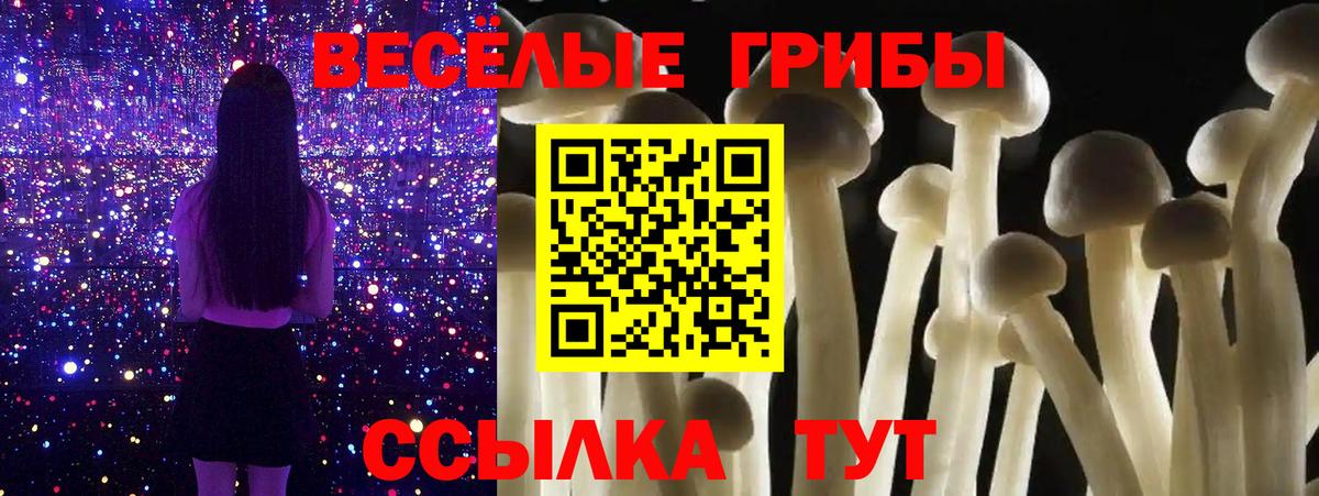 Псилоцибиновые грибы мухоморы Альметьевск