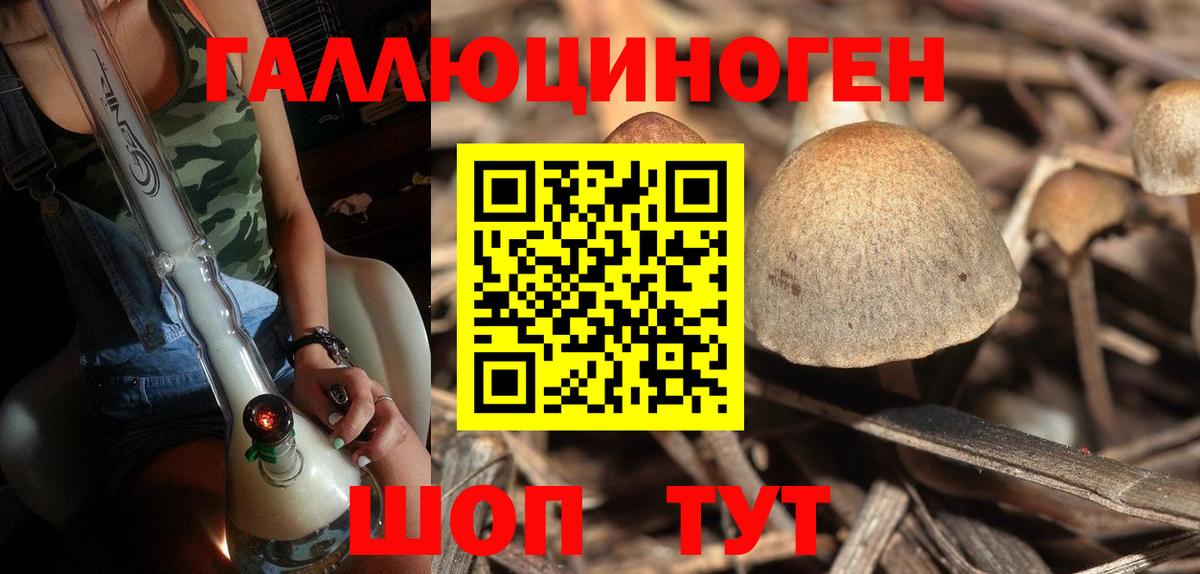 Альметьевск  Псилоцибиновые грибы GOLDEN TEACHER  Псилоцибиновые грибы Magic Shrooms  Вход с VPN 